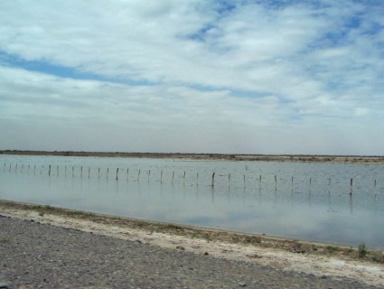 Lagunas de Guanacache, un humedal de importancia internacional