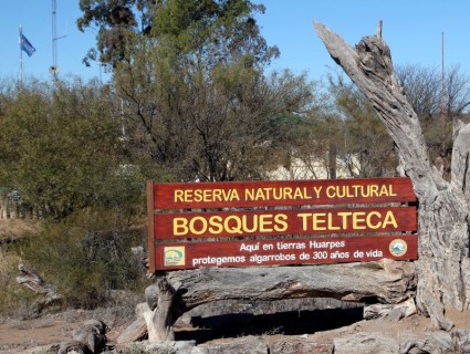 Bosque Telteca, una reserva natural única en el corazón de Lavalle