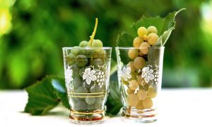 Moscato - Uvas Moscatel Vino