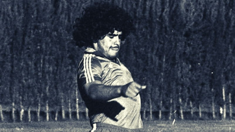 Maradona Pelusa