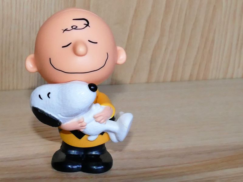 Series Snoopy Y Charlie Brown