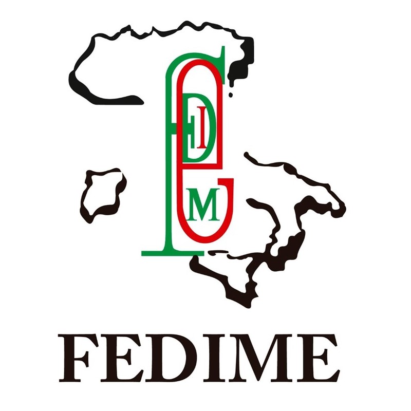 Jóvenes ítalo Argentinos En Mendoza - Logo De Fedime