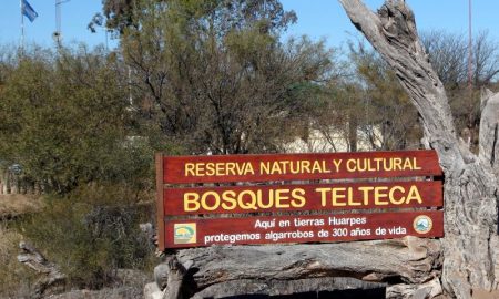 Bosque Telteca - Reserva Letrero