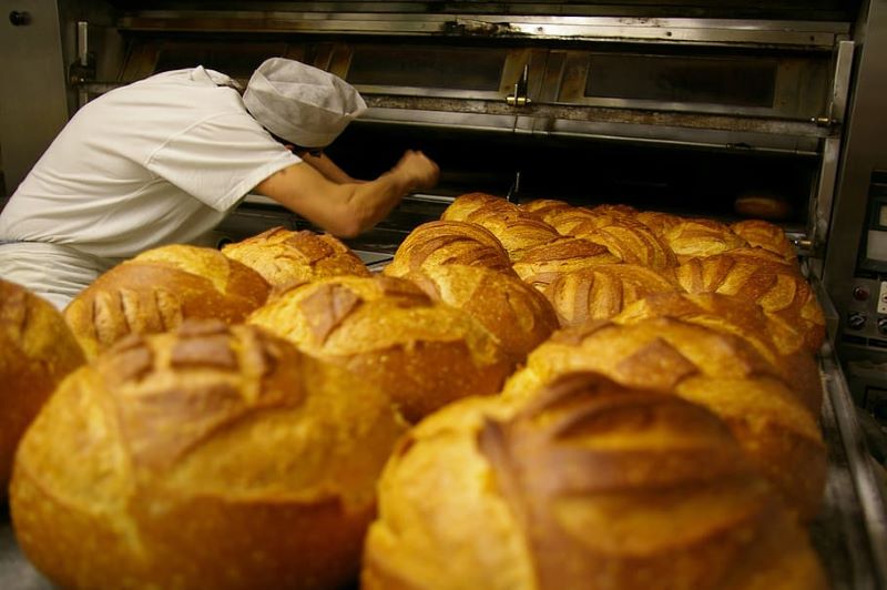 Día Del Panadero - Panadero