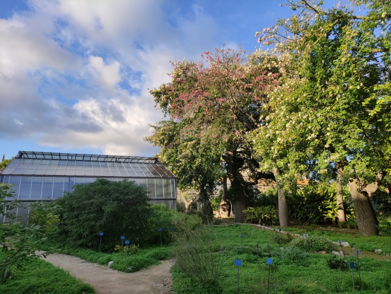 Palermo - El Jardín de Botánico tiene una extensión de 10 hectáreas